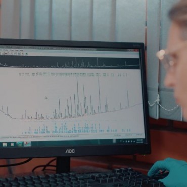 Análise de Bifenilas Policloradas (PCB) em Ivoti